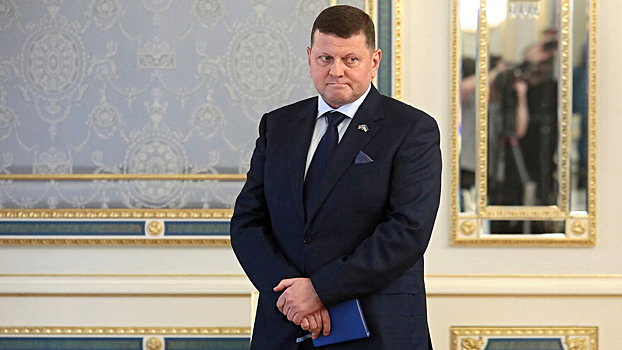 Посольство РФ обвинило Залужного в манипулировании общим прошлым