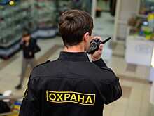 Кабмин предложил доверить Росгвардии проверки ЧОПов