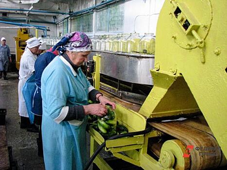 В Ленобласти нашли замену заграничным овощам и молоку