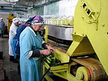 В Ленобласти нашли замену заграничным овощам и молоку