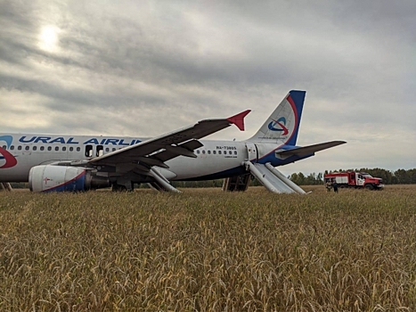 Пассажиры самолета, севшего в новосибирском поле, благодарят пилотов за чудо: имена героев