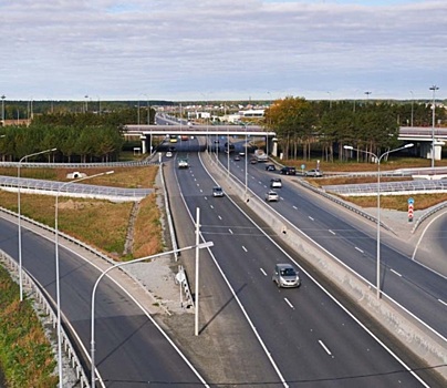 Ради спасения утиного семейства тюменец перекрыл дорожное движение (ВИДЕО)