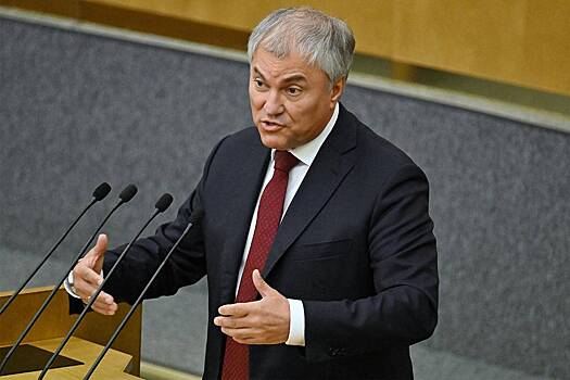 Дума приняла в I чтении проект о конфискации имущества за организацию нелегальной миграции