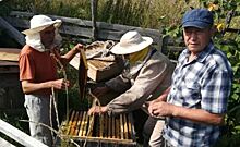 Где живут самые чистопородные пчелы в Башкирии
