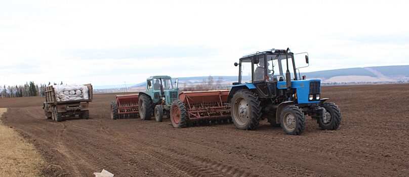 Крупное олекминское хозяйство «Поиск» засеет 300 гектаров зернового клина
