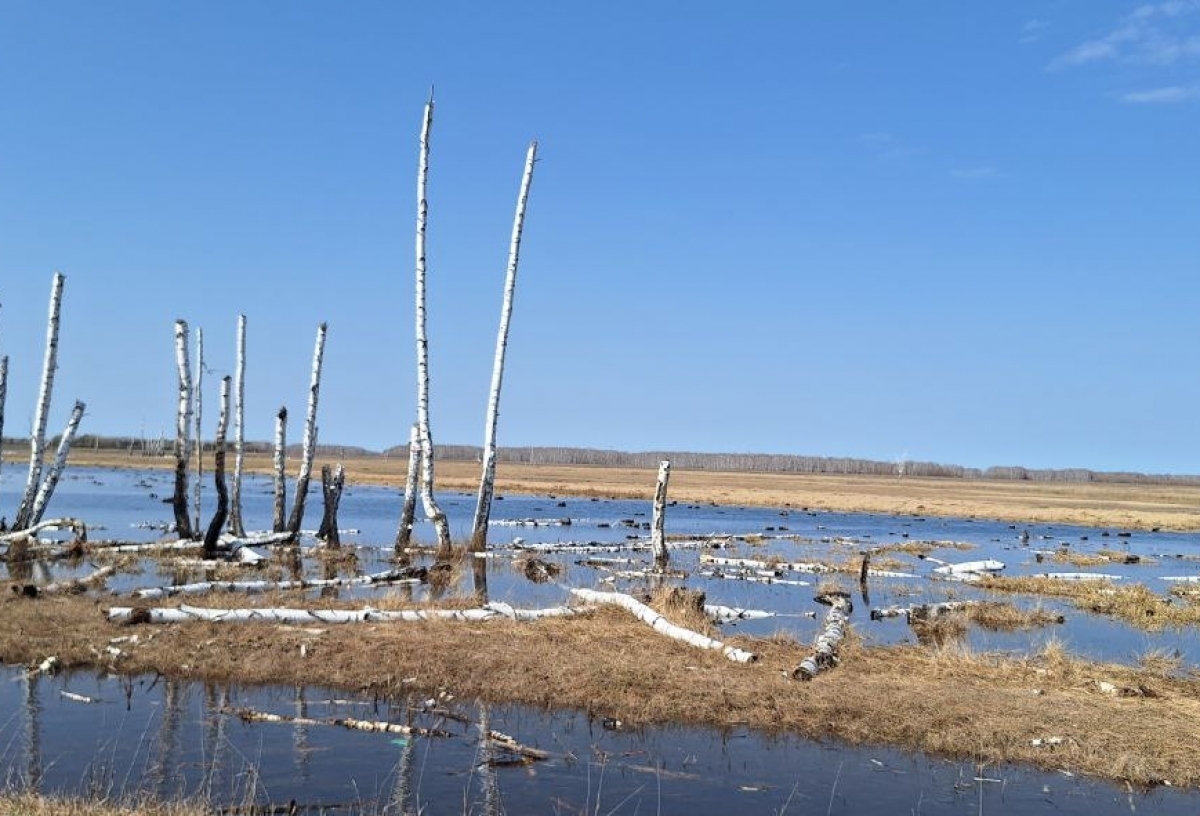 МЧС Омской области предупреждает о возможных подтоплениях в 12 районах и провалах людей и техники под лед
