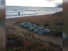 Восемь новых выбросов мазута обнаружено на побережье Крыма