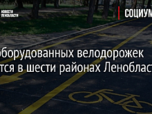 Сеть оборудованных велодорожек появится в шести районах Ленобласти