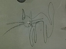 Чем промышляла самая самая известная банда в СССР «Черная кошка»