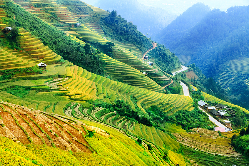 Рисовые террасы (Китай, провинция Юньнань)