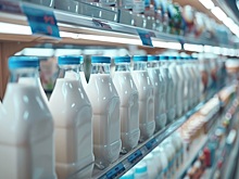 Экспорт российской молочной продукции вырос до 230 тысяч тонн в год