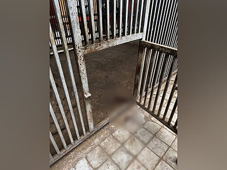 В зоопарке Мариуполя рассказали, что погибший волонтер не загнал животных за перегородку