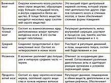 В бортовом журнале авиакомпании «Уральские авиалинии» за август вышла статья о Вологодской области