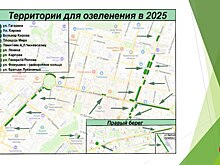 В Калуге начались массовые посадки деревьев