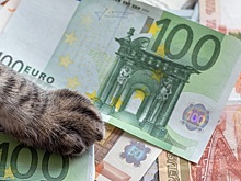 Какой будет курс евро в марте 2023 года