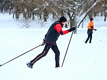 В Москве раскрыли число обустроенных за зиму лыжных трасс