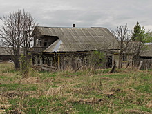 Сенатор констатировал провал импортозамещения в молочной отрасли