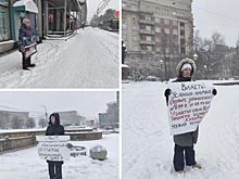 Новосибирцы вышли на пикеты против закона об эвтаназии бездомных животных