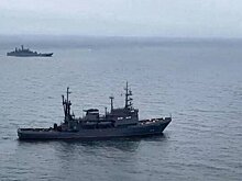 Сенатор от Запорожской области: Черноморский флот "сменил прописку" из-за БПЛА ВСУ
