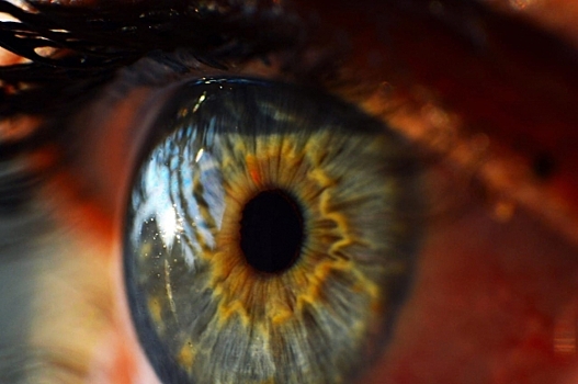Ученые рассказали, можно ли бороться с возрастным ухудшением зрения