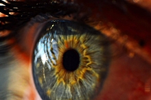 Ученые рассказали, можно ли бороться с возрастным ухудшением зрения