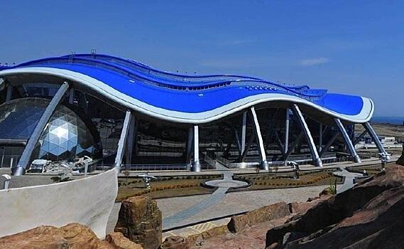 Директор Приморского океанариума подал рапорт об отставке