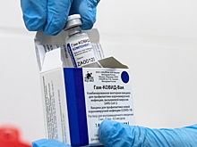 Вьетнам зарегистрировал "Спутник V"