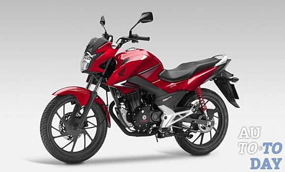 Что такое категория А1 в водительском удостоверении: транспорт относящийся к ней, со скольки лет можно получить, разница с A, ограничения