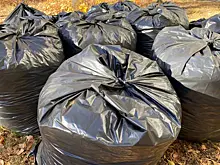 В Самаре ликвидируют свалку около кладбища в поселке Рубежный