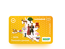 В Калмыкии стартовал проект «Карта жителя Республики Калмыкия»