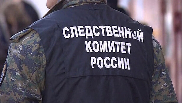 СК начал проверку в связи с пронесенным травматическим пистолетом на авиарейс Москва - Бургас