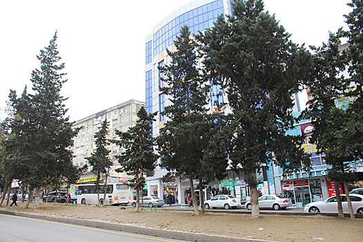 Чиновник отдыхает за границей, а в Хатаинском районе продали парк