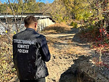 В Курской области расследуют дело об атаке украинского дрона на автомобиль мирного жителя