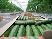 Народные приметы на 19 мая: что нельзя делать в этот день