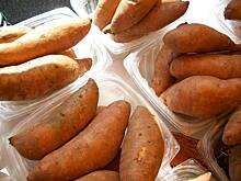После запрета хлорпирифоса в США для борьбы с проволочником на картофеле предложен бифентрин
