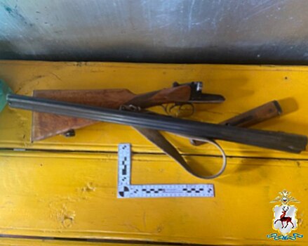 В Нижегородской области изъяты незаконно хранившиеся ружье, патроны и порох