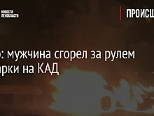Видео: мужчина сгорел за рулем иномарки на КАД