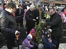 В центре новой детской площадки в Орске посадили сосну