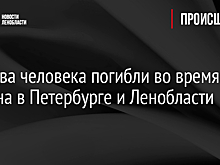 Еще два человека погибли во время урагана в Петербурге и Ленобласти