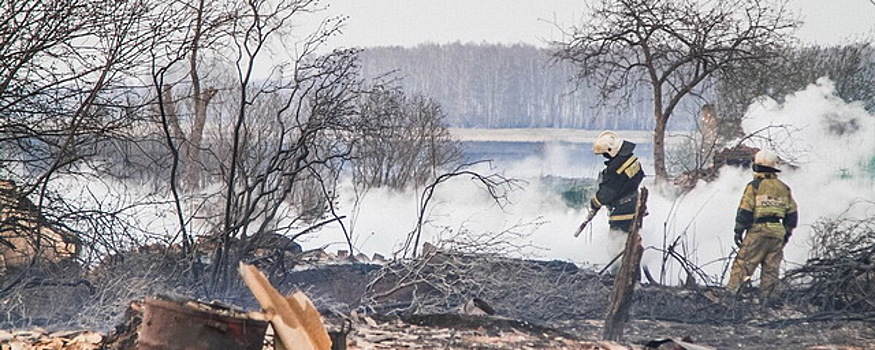 Бастрыкин поручил проверить действия пожарных в омской деревне, где сгорело 25 строений