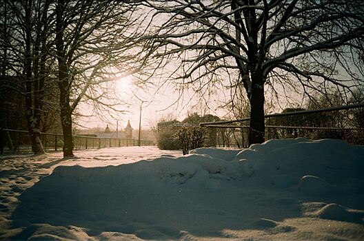 Места, которые обязательно стоит увидеть в Пушкинских горах