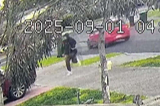 В Австралии на видео сняли угонщиков, которые похитили детей и выбросили на обочину