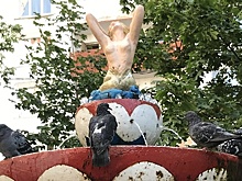 «Загадили все!»: как бороться со стаями голубей в Москве и области