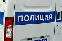 Двое грабителей унесли платежный терминал из ТРК «Пулково-3»