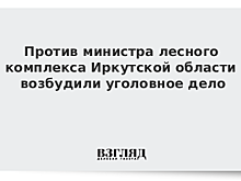 Против министра лесного комплекса Иркутской области возбудили уголовное дело