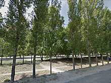 В Воронеже благоустроят еще один сквер