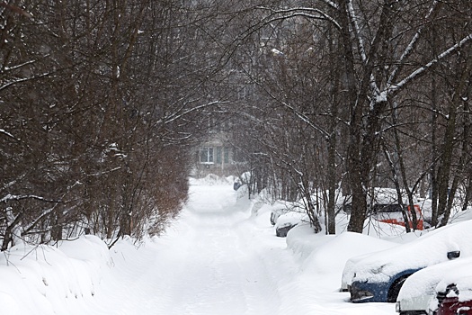 В Гидрометцентре спрогнозировали 40-градусные морозы и новые снегопады