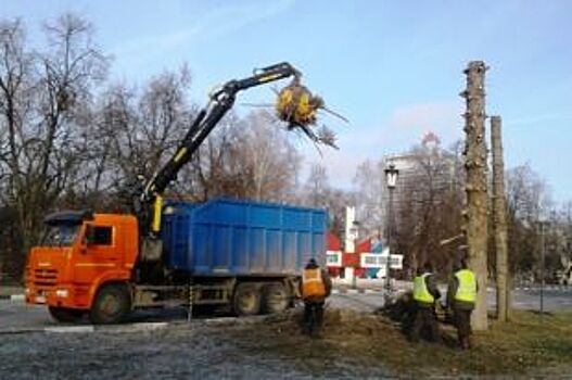 На эспланаде в Ульяновск начали рубить погибшие голубые ели