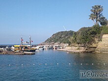 Первые чартеры в Турцию могут полететь в конце лета