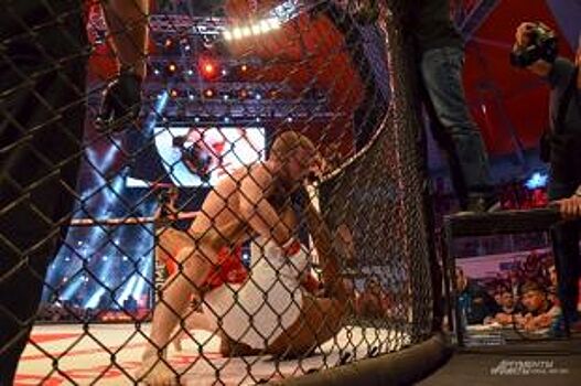 Уральских бойцов MMA будут тренировать топовые спортсмены UFC